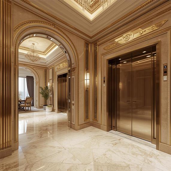 Luxury Homes & Villas lifts in Coimbarore